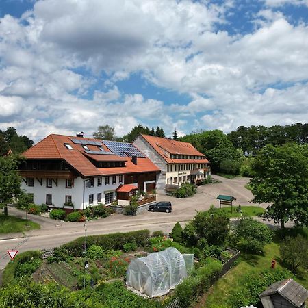 Haus Schlageter Διαμέρισμα Dachsberg im Schwarzwald Εξωτερικό φωτογραφία