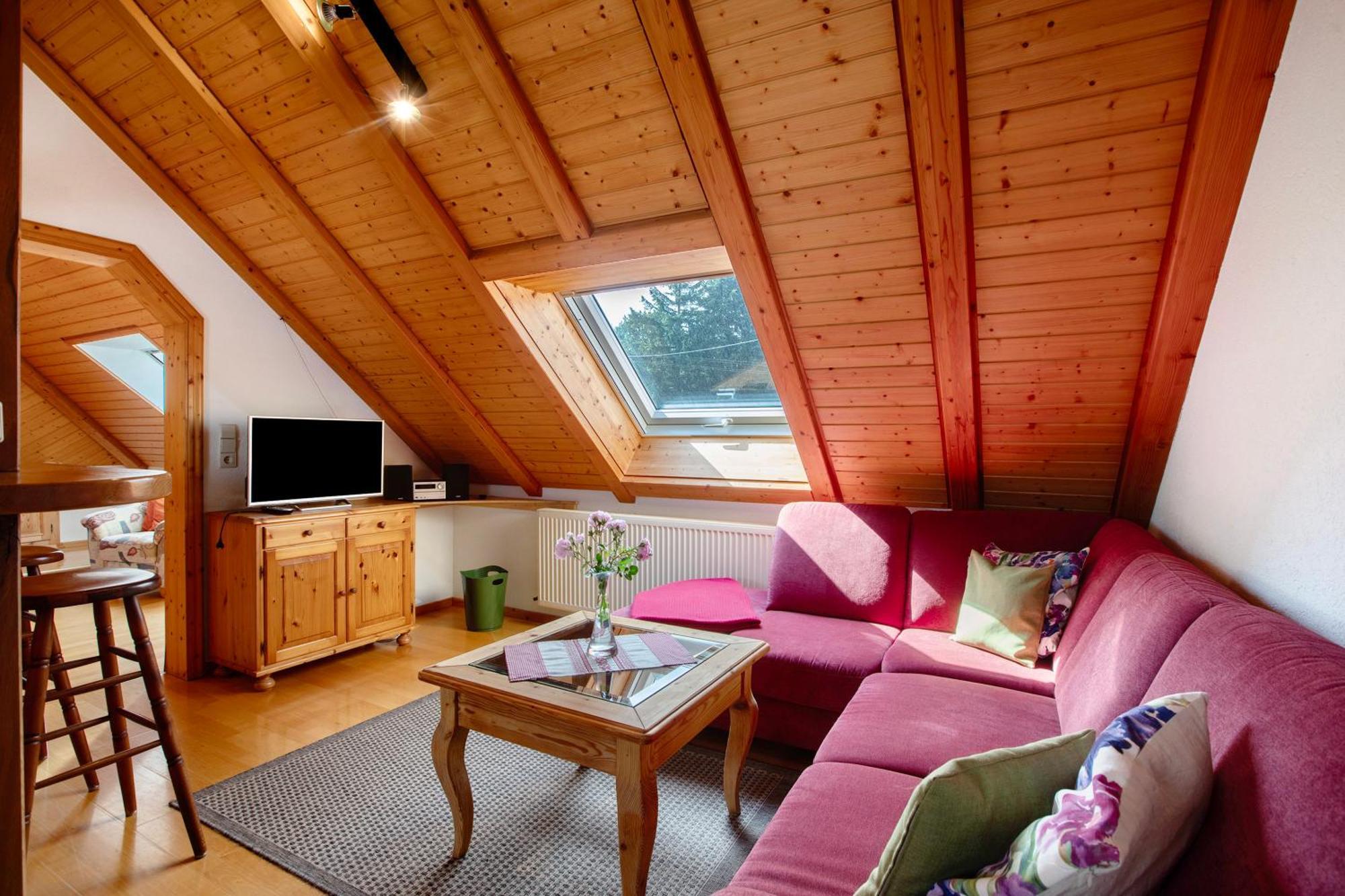 Haus Schlageter Διαμέρισμα Dachsberg im Schwarzwald Εξωτερικό φωτογραφία