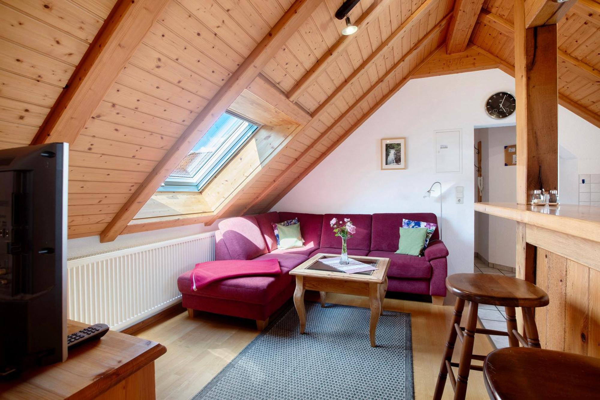 Haus Schlageter Διαμέρισμα Dachsberg im Schwarzwald Εξωτερικό φωτογραφία