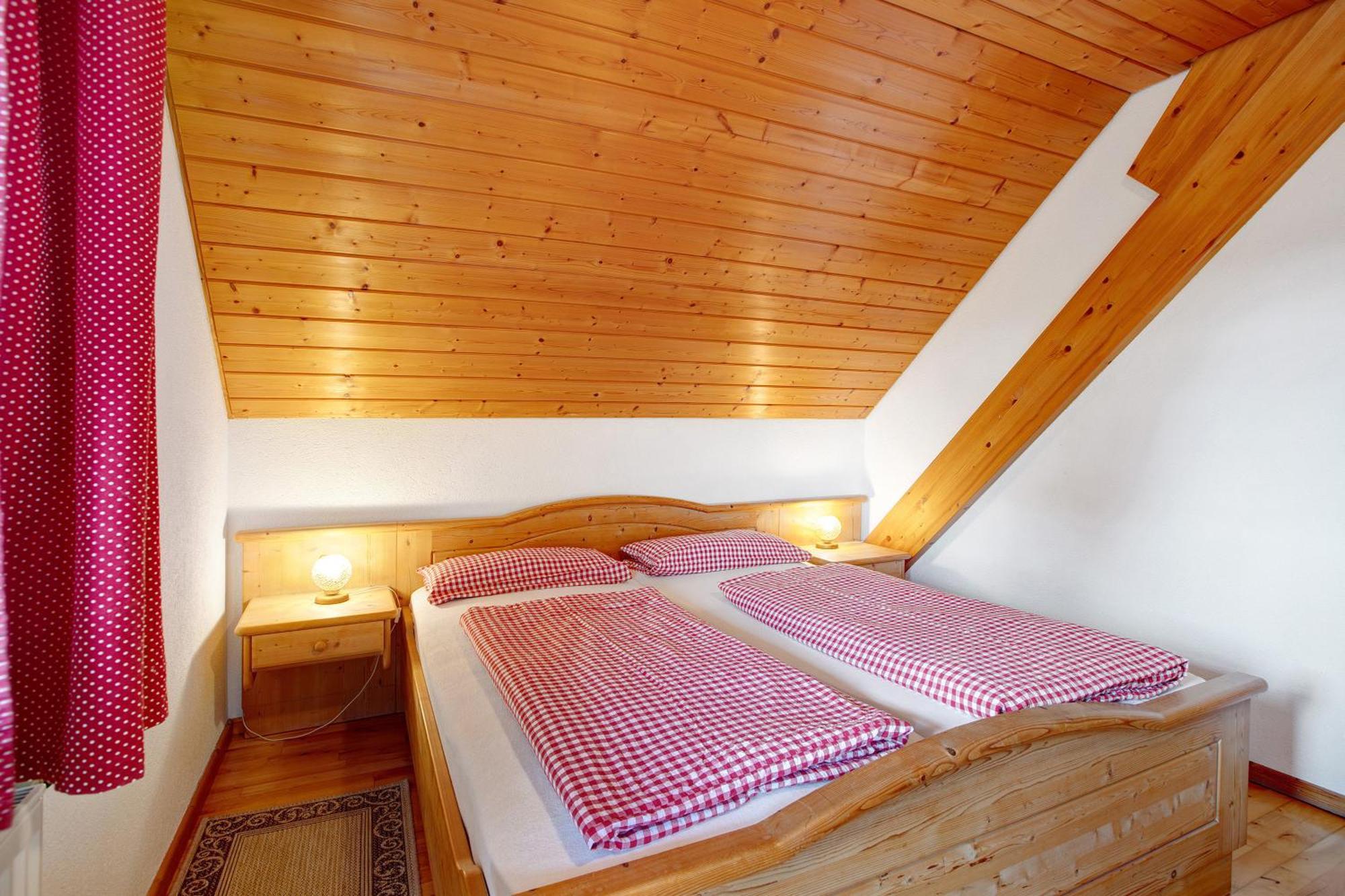 Haus Schlageter Διαμέρισμα Dachsberg im Schwarzwald Εξωτερικό φωτογραφία