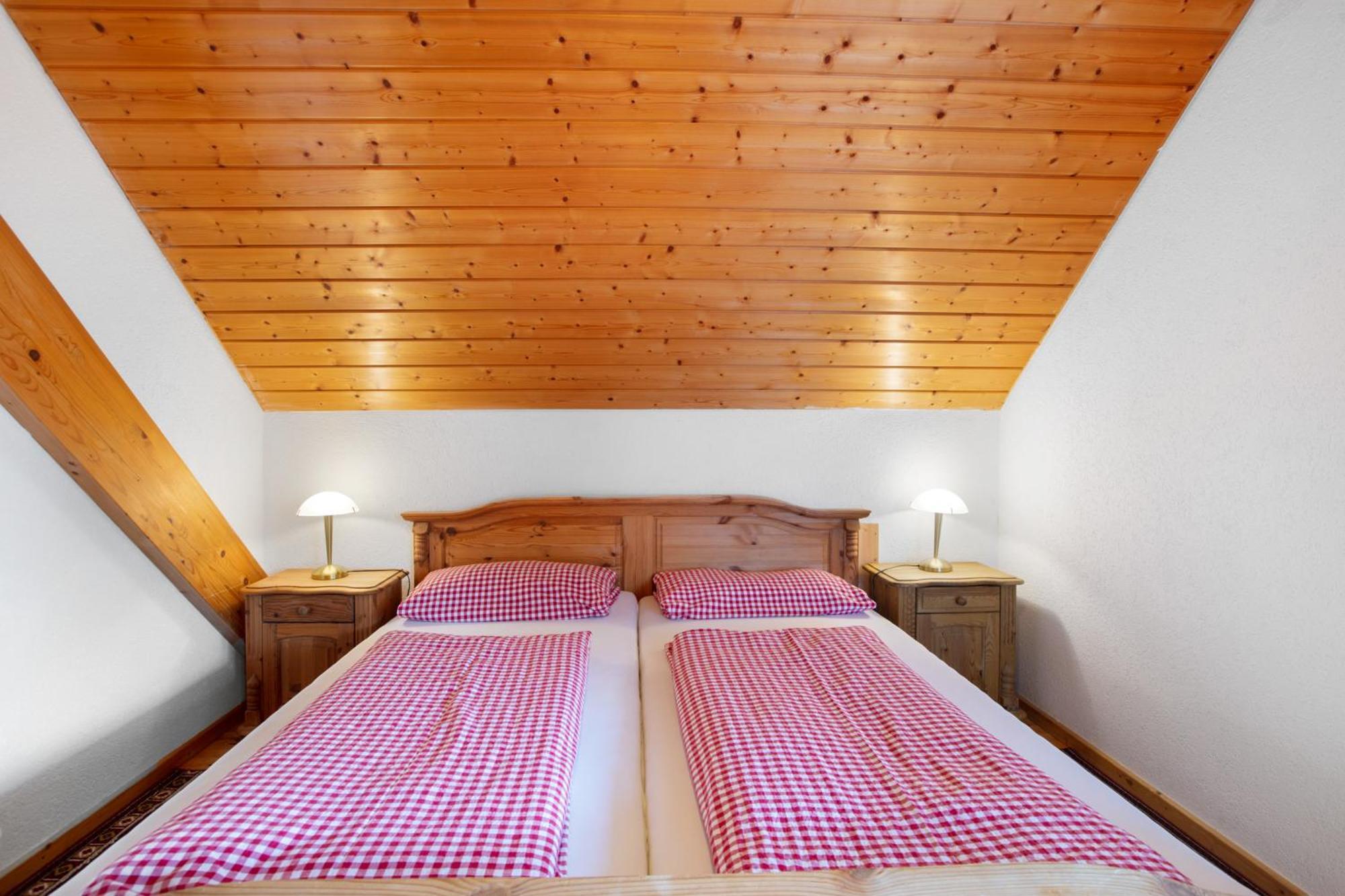 Haus Schlageter Διαμέρισμα Dachsberg im Schwarzwald Εξωτερικό φωτογραφία