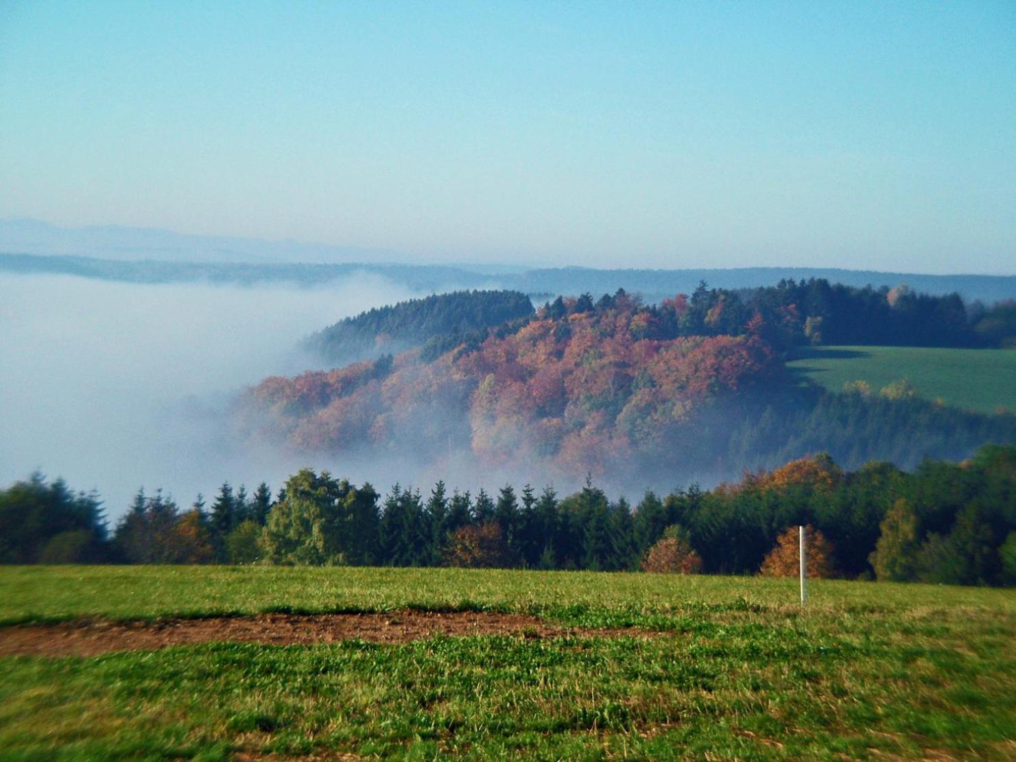 Haus Schlageter Διαμέρισμα Dachsberg im Schwarzwald Εξωτερικό φωτογραφία