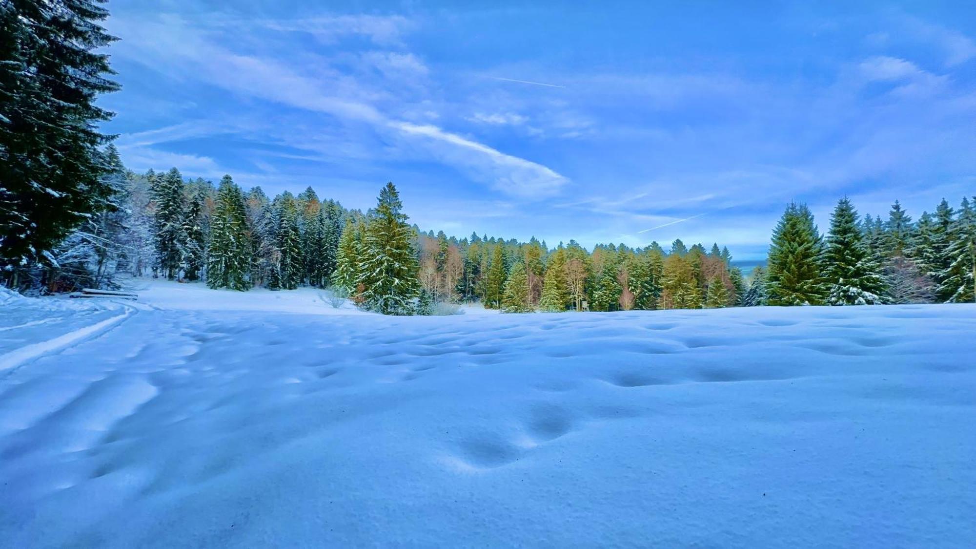 Haus Schlageter Διαμέρισμα Dachsberg im Schwarzwald Εξωτερικό φωτογραφία