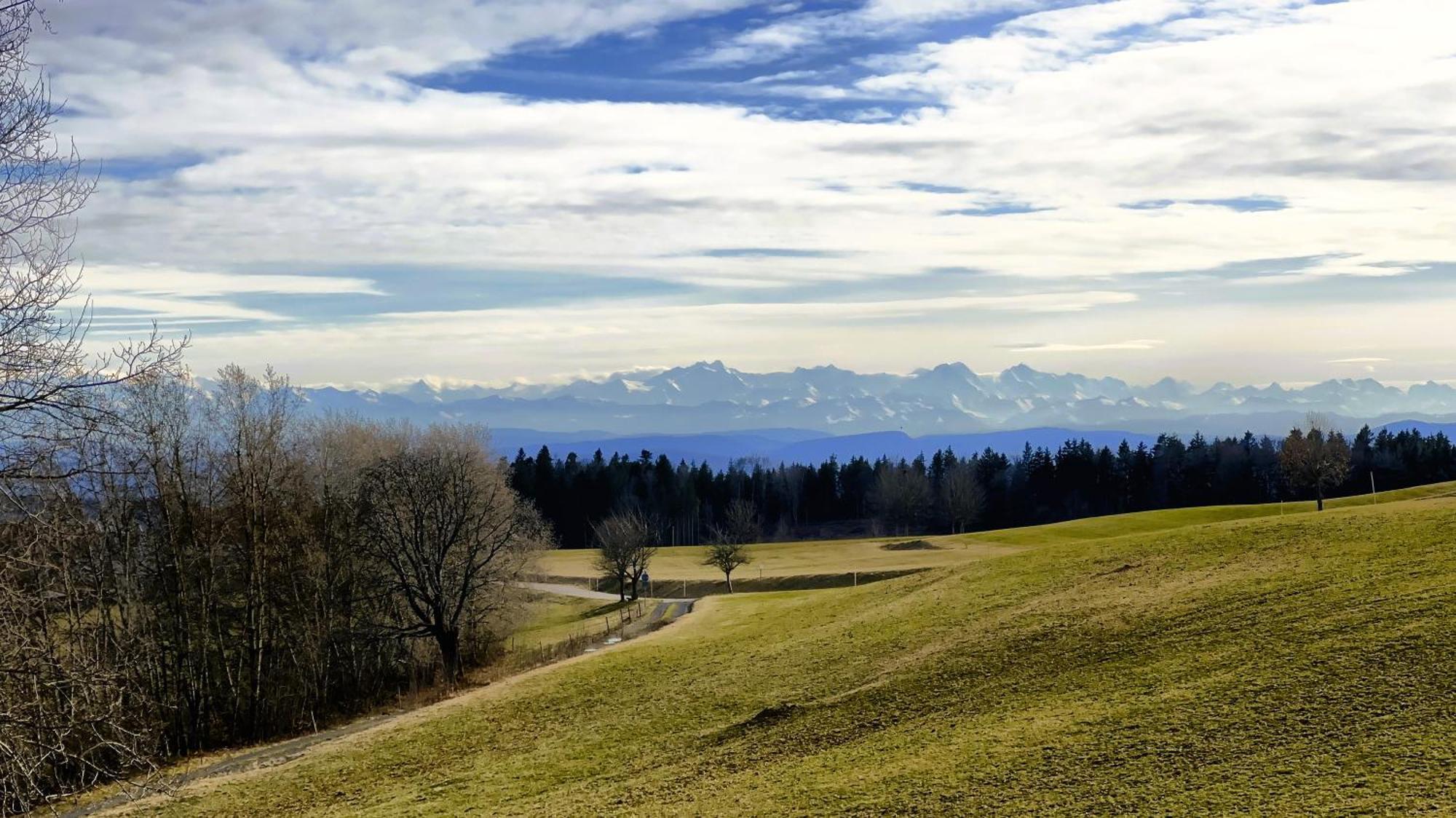 Haus Schlageter Διαμέρισμα Dachsberg im Schwarzwald Εξωτερικό φωτογραφία