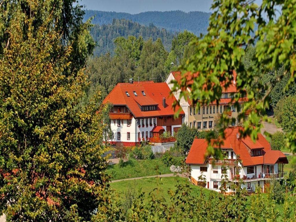Haus Schlageter Διαμέρισμα Dachsberg im Schwarzwald Εξωτερικό φωτογραφία